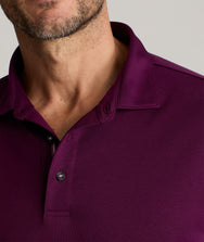 Wrinkle-Free Damaschino Long-Sleeve Polo Zoom