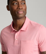 Striped Performance Polo Zoom