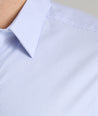 Model wearing a Blue Wrinkle-Free Bordeaux Shirt.