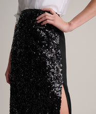 Sequinned Celine Skirt Zoom