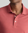 Wrinkle-Free Damaschino Polo