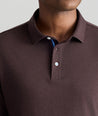 Model is wearing Wrinkle-Free Damaschino Long-Sleeve Polo in dark brown. 