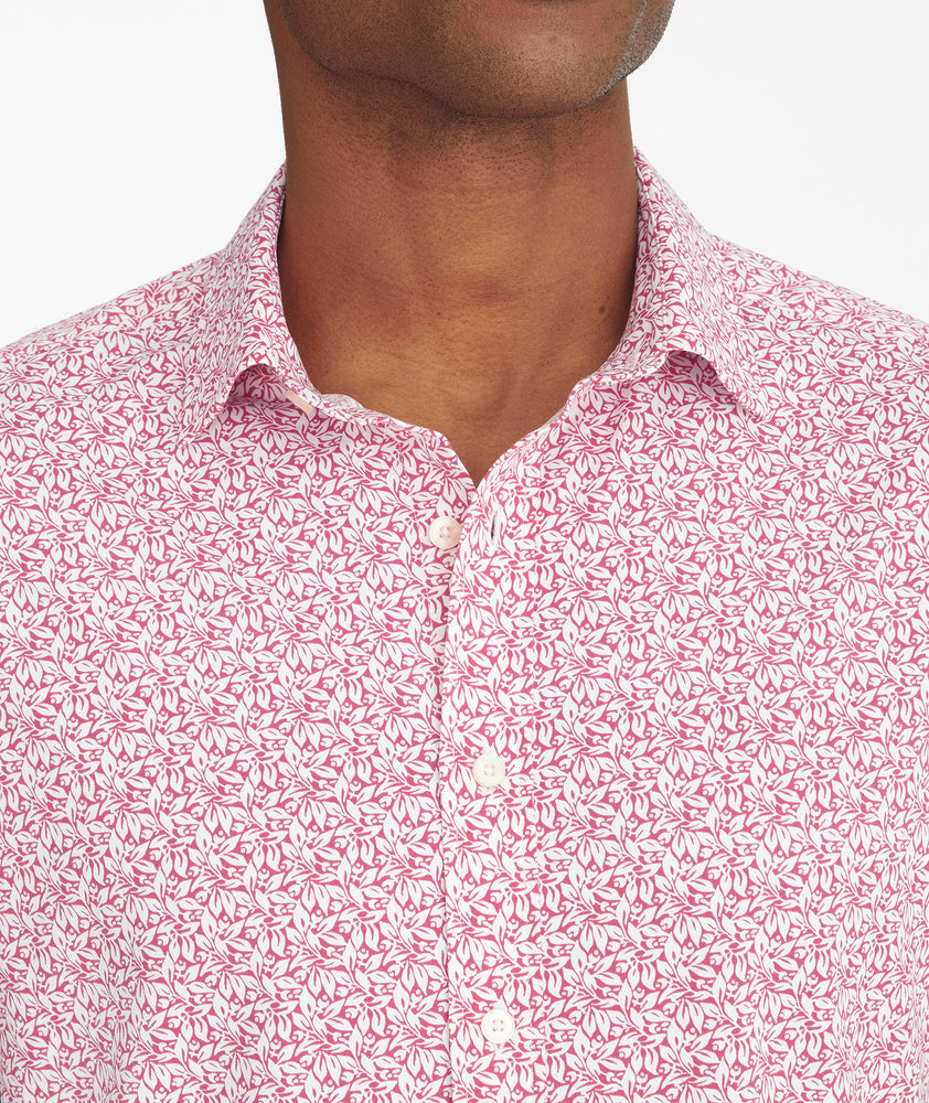 Wrinkle-Free Performance Short-Sleeve Mavrud Shirt