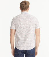 Cotton Stretch Short-Sleeve Dot Shirt 4