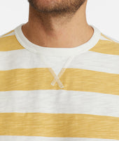 Sahara Sun Sweatshirt 5
